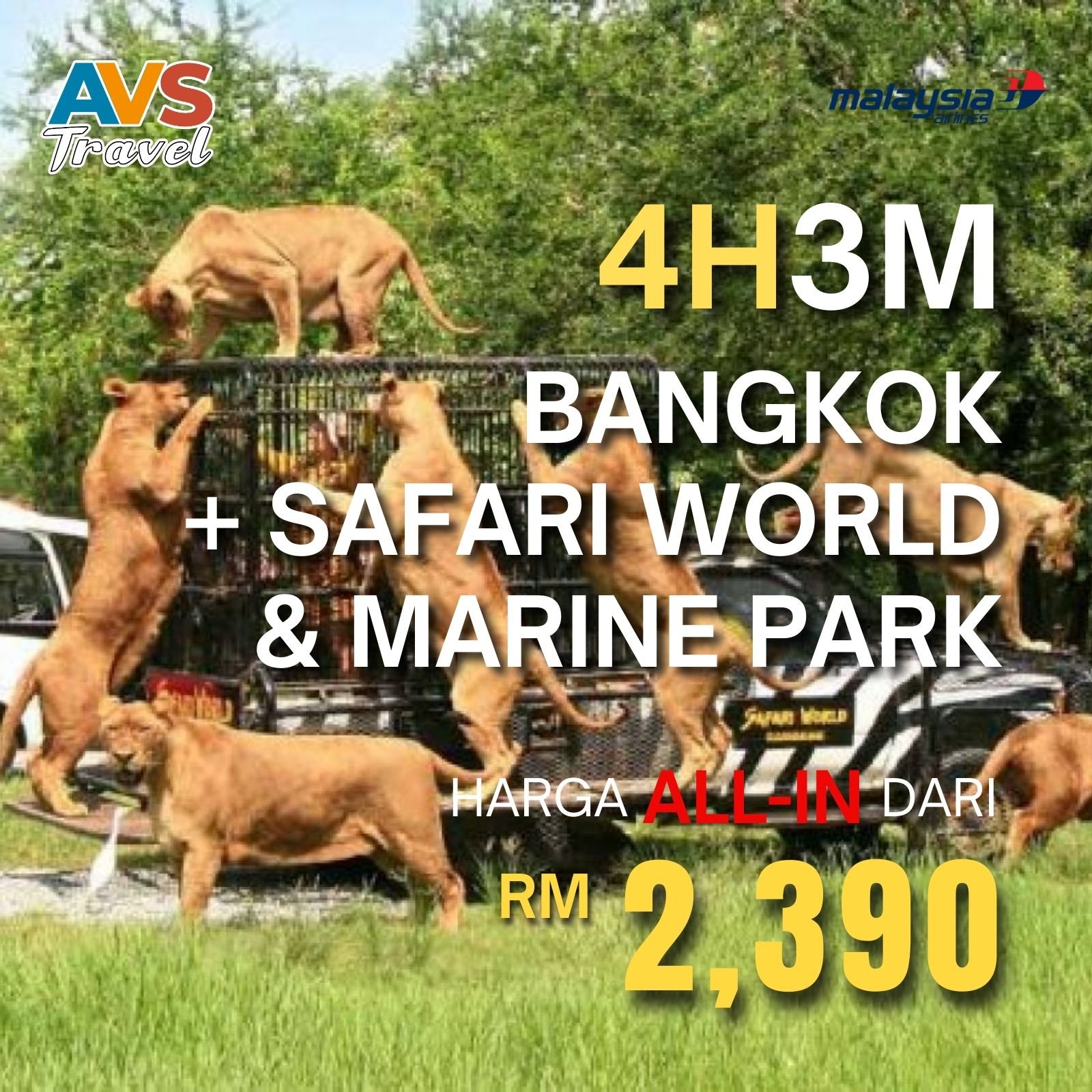 4D3N Bangkok + Safari World & Marine Park
