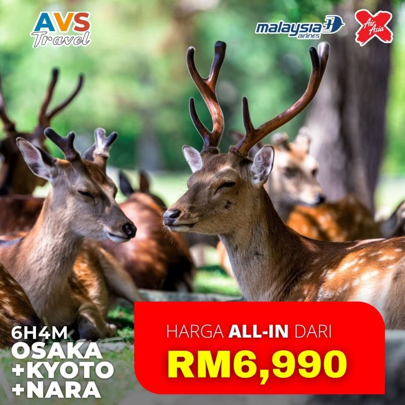 6D4N Osaka + Kyoto + Nara