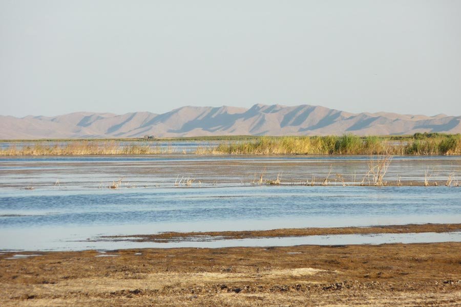 Image for Visit Aydarkul Lake & the Kyzylkum Desert