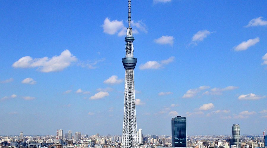 Image for Tokyo Skytree: Touching the Skies of Modern Tokyo